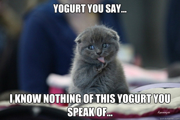 yogurt you say i know nothing of this yogurt you speak of -