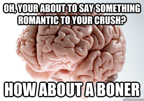 oh your about to say something romantic to your crush how - Scumbag Brain