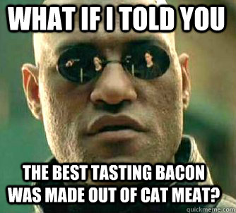 what if i told you the best tasting bacon was made out of ca - Matrix Morpheus