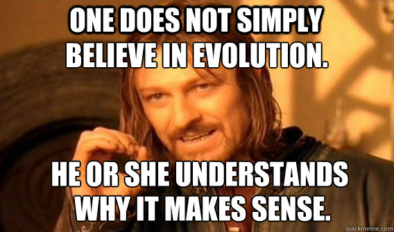 one does not simply believe in evolution he or she understa - Boromirmod