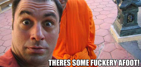 theres some fuckery afoot - Joe Rogan