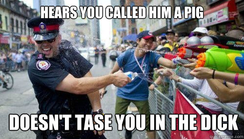 hears you called him a pig doesnt tase you in the dick - Good Guy Cop