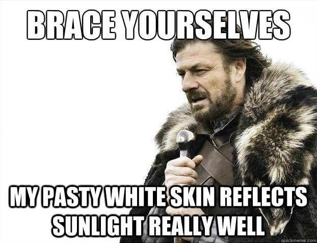 brace yourselves my pasty white skin reflects sunlight reall - Brace Yourselves - Borimir
