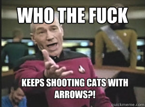 who the fuck keeps shooting cats with arrows - Annoyed Picard
