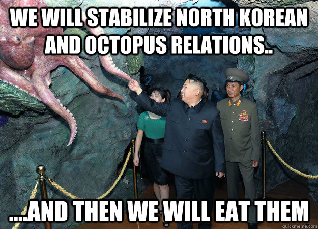 we will stabilize north korean and octopus relations a -