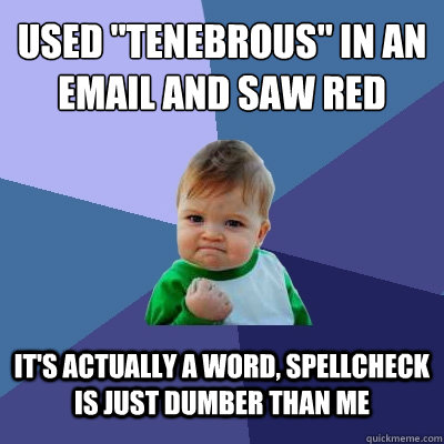 used tenebrous in an email and saw red its actually a wor - Success Kid