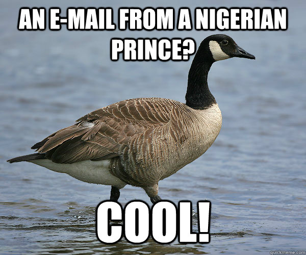 an email from a nigerian prince cool - Gullible Goose