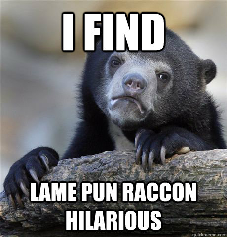 i find lame pun raccon hilarious - Confession Bear