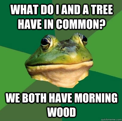 what do i and a tree have in common we both have morning wo - Foul Bachelor Frog