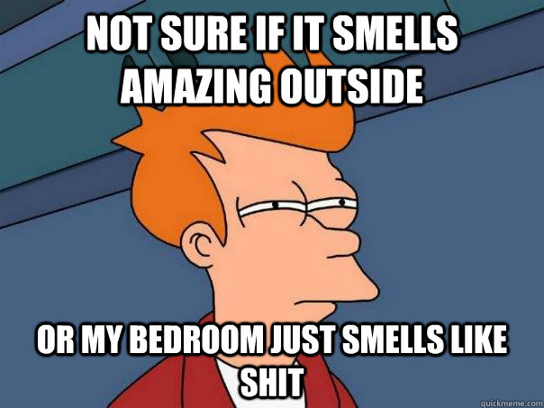 not sure if it smells amazing outside or my bedroom just sme - Futurama Fry