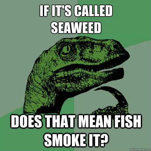 if its called seaweed does that mean fish smoke it - Philosoraptor