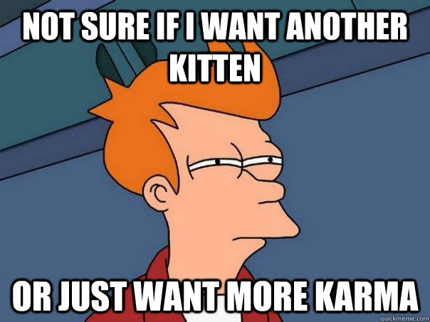 not sure if i want another kitten or just want more karma - Futurama Fry