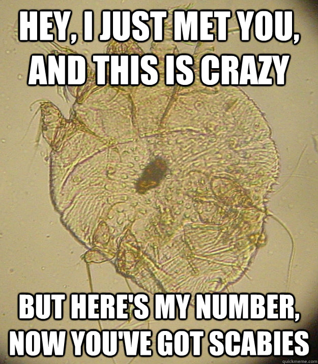 hey i just met you and this is crazy but heres my number - Friendly scabies infestation