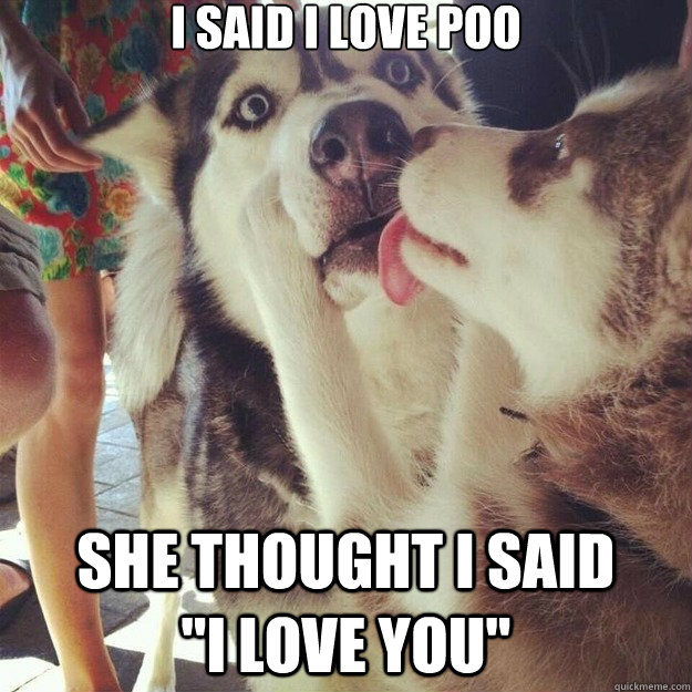 i said i love poo she thought i said i love you - Relationship Dog