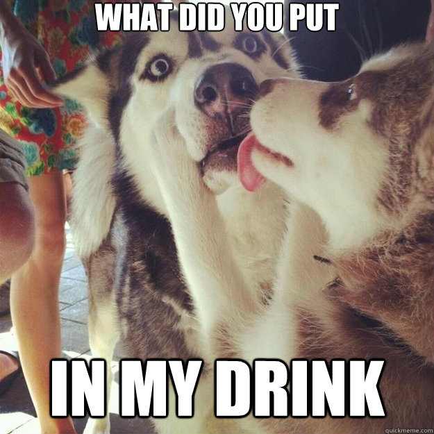 what did you put in my drink - Relationship Dog