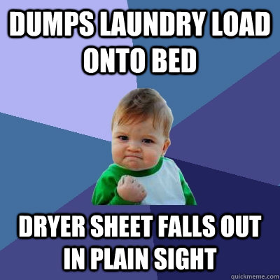 dumps laundry load onto bed dryer sheet falls out in plain s - Success Kid