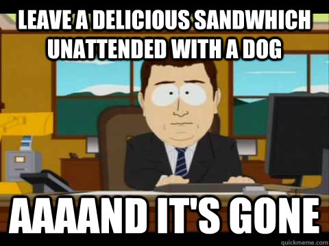 leave a delicious sandwhich unattended with a dog aaaand it - and its gone