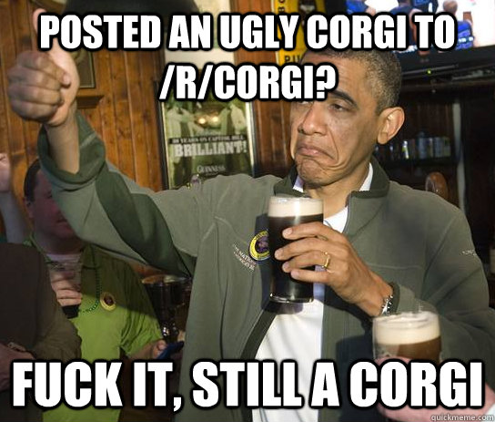 Ugly Corgi
