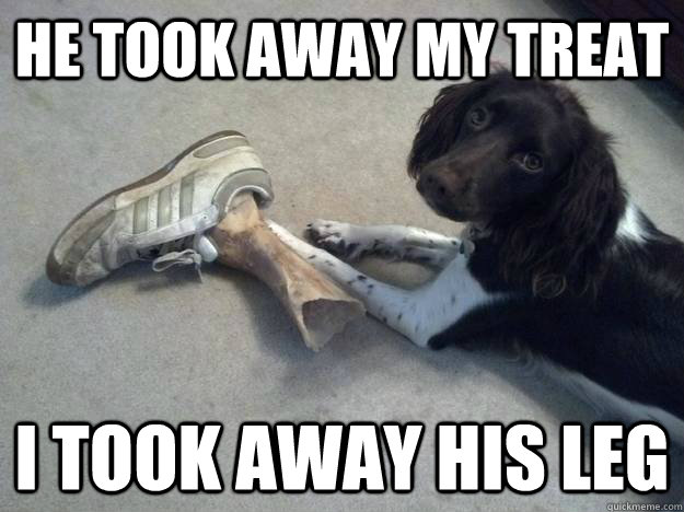 he took away my treat i took away his leg - Revenge Dog