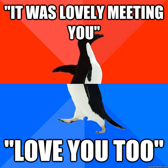 it was lovely meeting you love you too - Socially Awesome Awkward Penguin