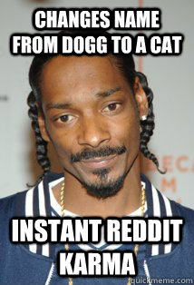 changes name from dogg to a cat instant reddit karma -