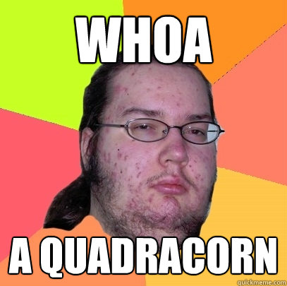 whoa a quadracorn - Butthurt Dweller