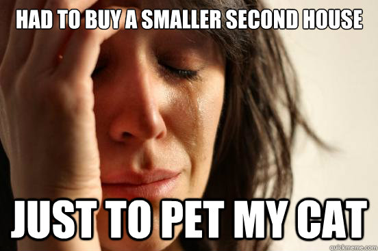had to buy a smaller second house just to pet my cat - First World Problems