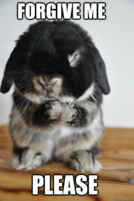 forgive me please - BUNNY
