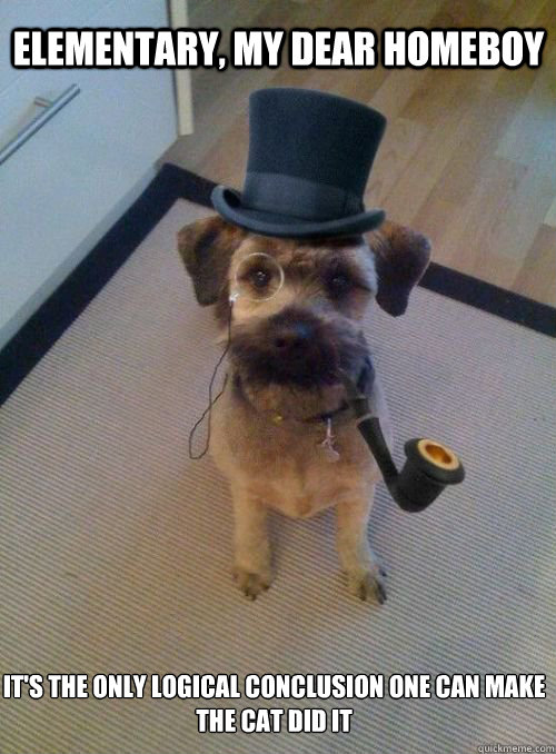 elementary my dear homeboy its the only logical conclusion - Gentleman Dog
