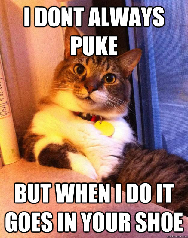 i dont always puke but when i do it goes in your shoe -