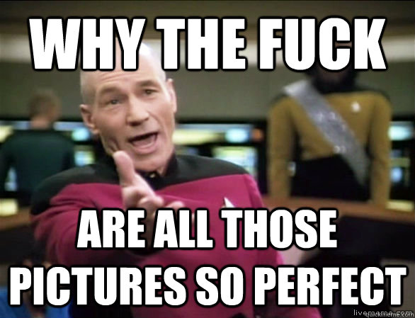 why the fuck are all those pictures so perfect - Annoyed Picard HD