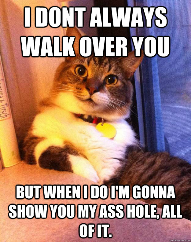 i dont always walk over you but when i do im gonna show you -