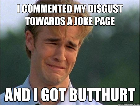i commented my disgust towards a joke page and i got butthur - 1990s Problems