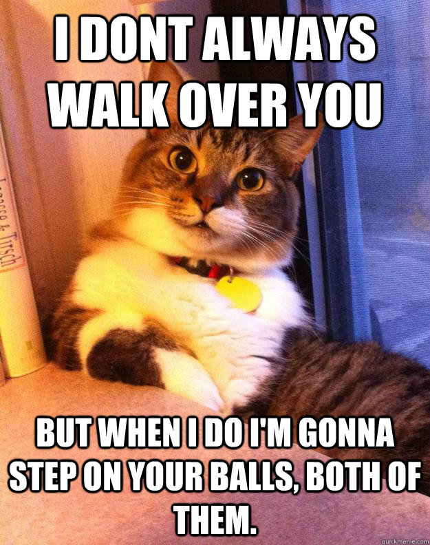 i dont always walk over you but when i do im gonna step on -