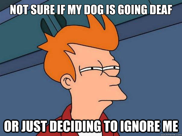 not sure if my dog is going deaf or just deciding to ignore - Futurama Fry