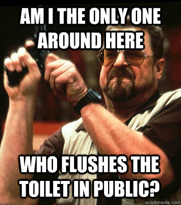 am i the only one around here who flushes the toilet in pub - Angry walter
