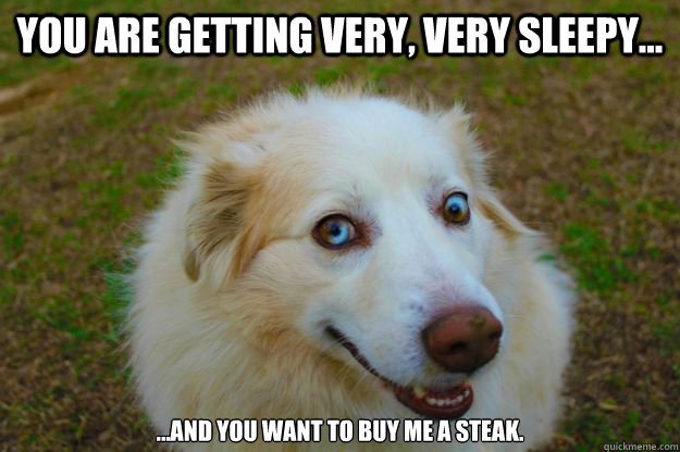 you are getting very very sleepy and you want to buy - HypnoDog