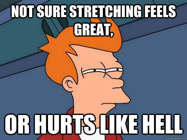 not sure stretching feels great or hurts like hell - Futurama Fry