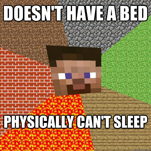 doesnt have a bed physically cant sleep - Minecraft