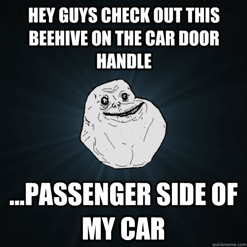 hey guys check out this beehive on the car door handle pa - Forever Alone