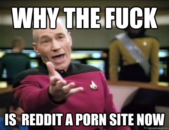 why the fuck is reddit a porn site now - Annoyed Picard HD