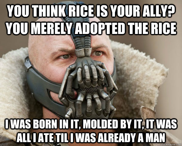 you think rice is your ally you merely adopted the rice i w - Bane Connery