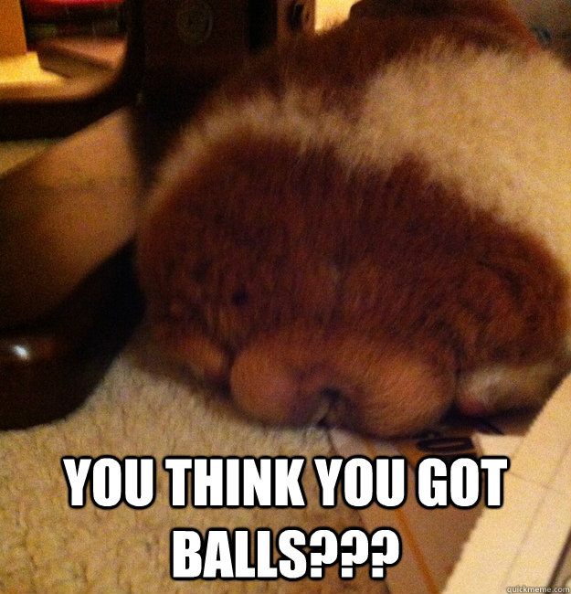 you think you got balls - BigBalls