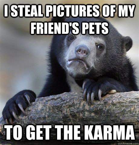 i steal pictures of my friends pets to get the karma - Confession Bear