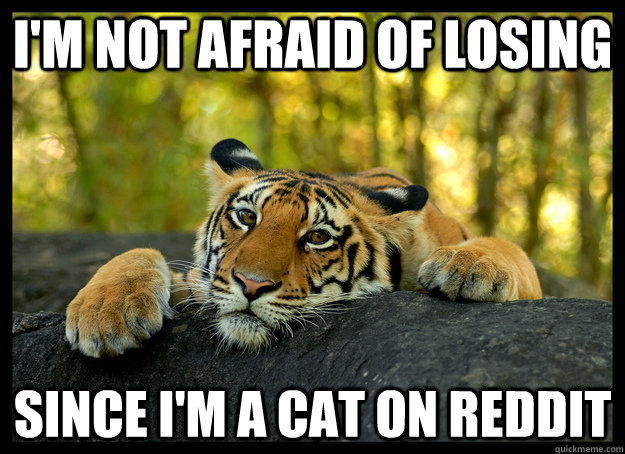 im not afraid of losing since im a cat on reddit -