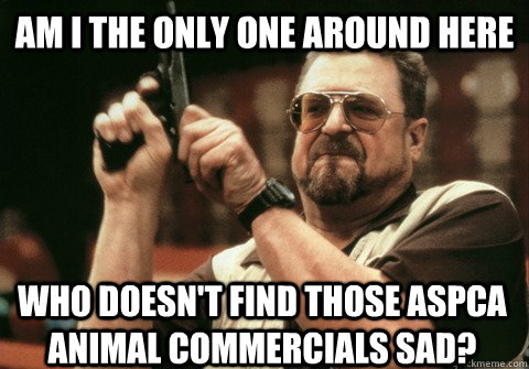 am i the only one around here who doesnt find those aspca a - Am I the only one