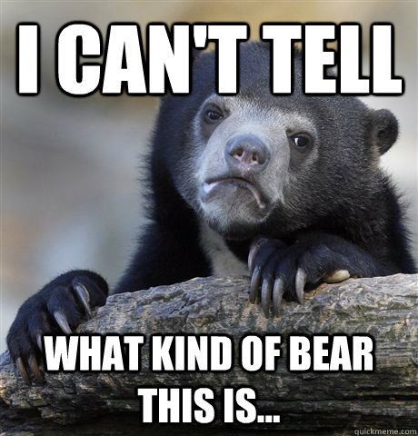 i cant tell what kind of bear this is - Confession Bear