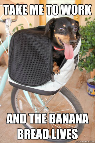take me to work and the banana bread lives - Sleepypod and Sidekick