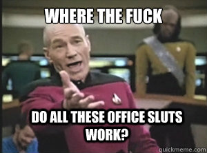 where the fuck do all these office sluts work - Annoyed Picard