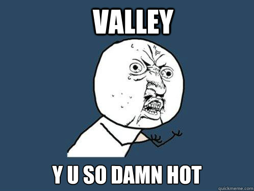 valley y u so damn hot - Y U No
